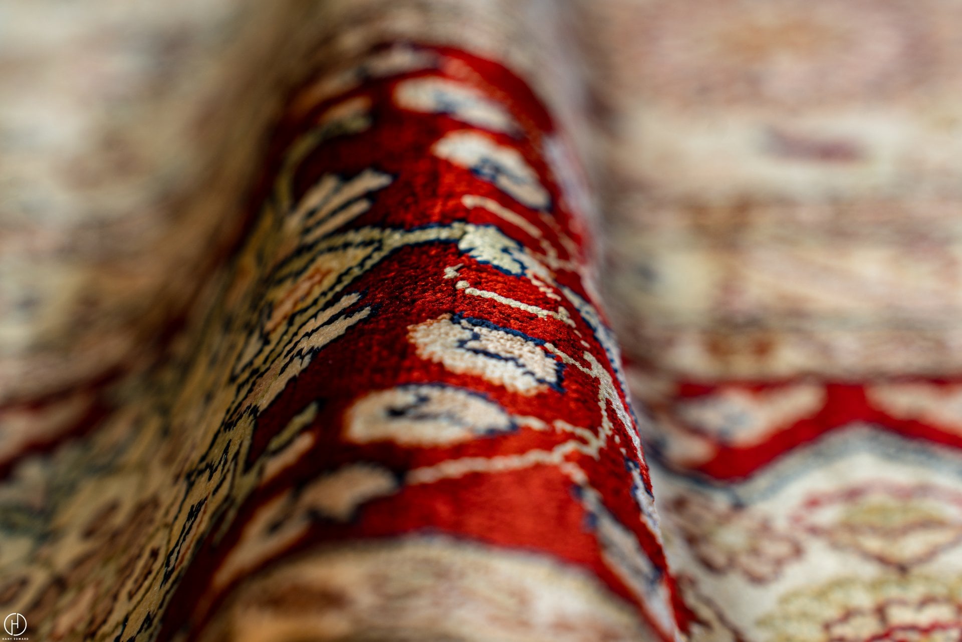 Egyptian Handmade Rug #8 - 241*312cm - Image 10